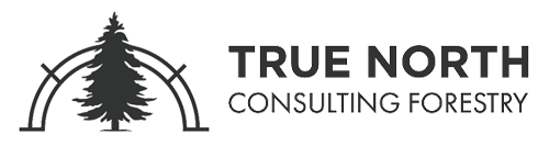 True North Consulting Forestry Website Development by Euphoric Media