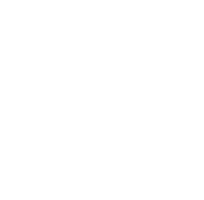 True North Consulting Forestry Logo by Euphoric Media